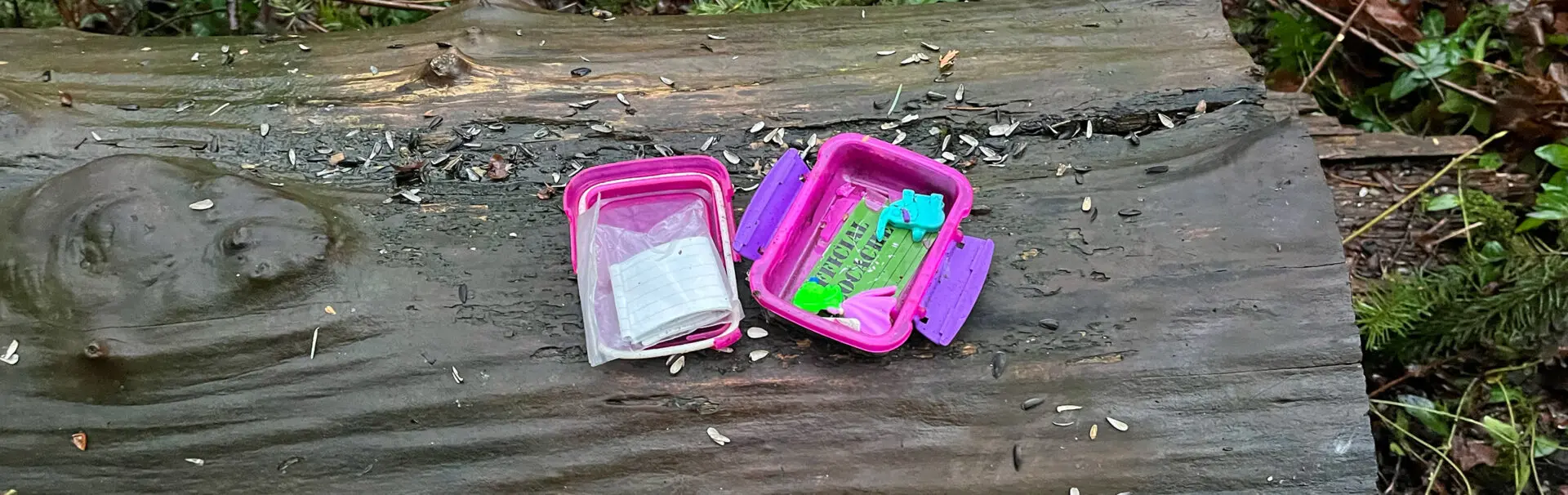 Geocaching is a Fun Outdoor Family Activity